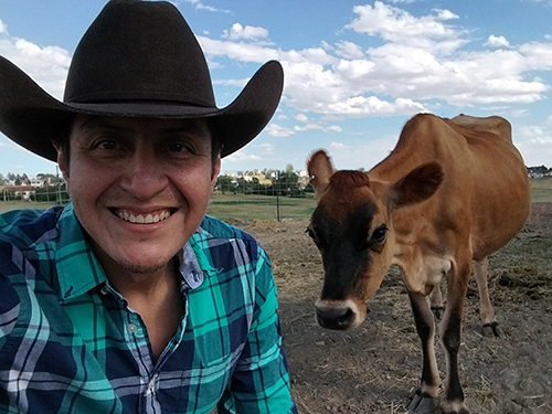 Hypothyroidism and Dairy